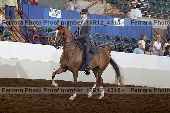 Proof 10r12_4315