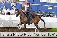 10r12_4317 proof