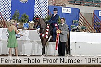 10r12_4335 proof