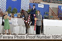 10r12_4336 proof