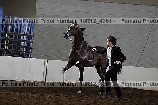 Proof 10r12_4361