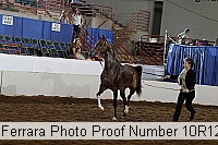 10r12_4363 proof