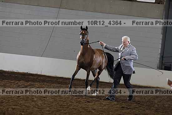 Proof 10r12_4364