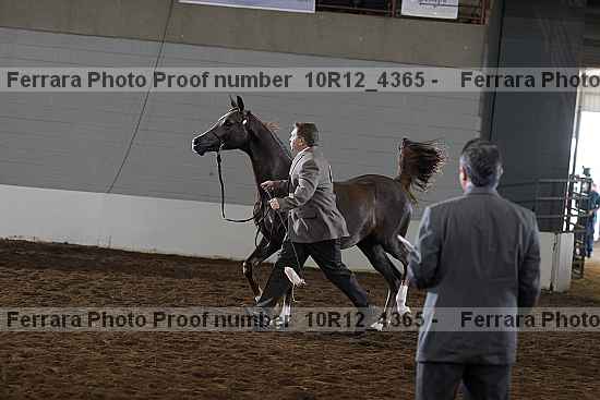 Proof 10r12_4365