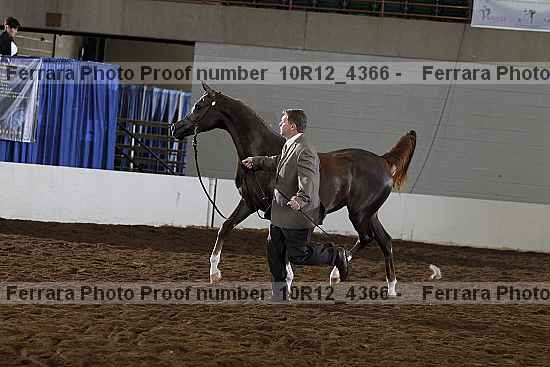 Proof 10r12_4366