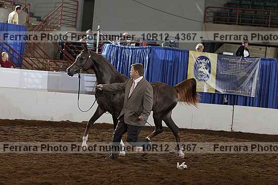 Proof 10r12_4367