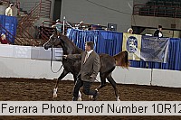 10r12_4367 proof