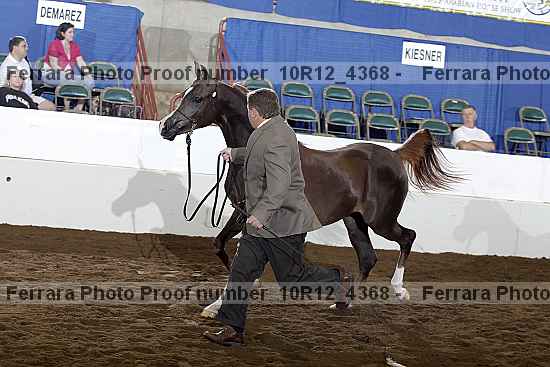 Proof 10r12_4368