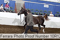 10r12_4368 proof