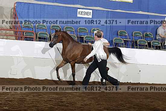 Proof 10r12_4371