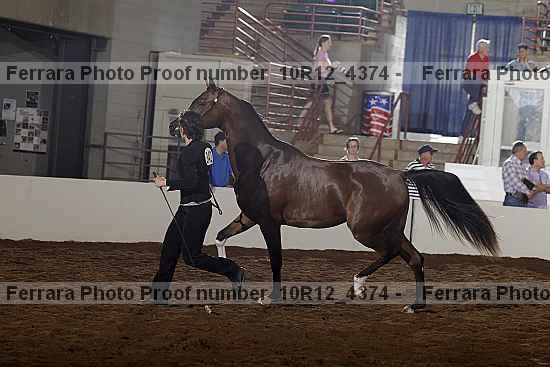 Proof 10r12_4374