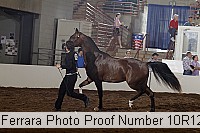 10r12_4374 proof