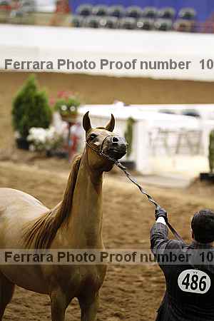 Proof 10r12_4376