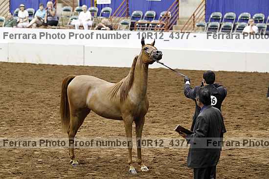 Proof 10r12_4377
