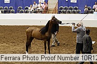 10r12_4382 proof