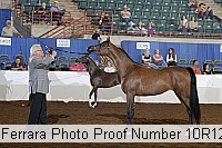 10r12_4383 proof