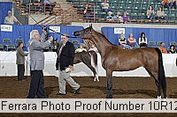 10r12_4384 proof