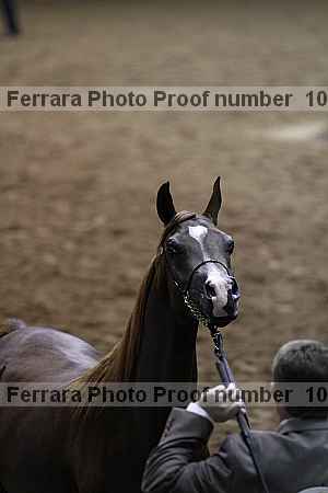 Proof 10r12_4386