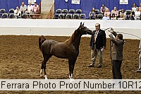 10r12_4388 proof