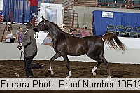 10r12_4390 proof