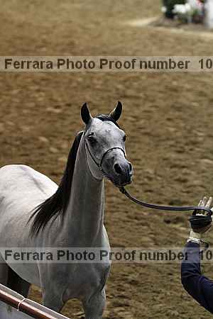 Proof 10r12_4396
