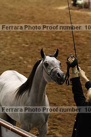 Proof 10r12_4399