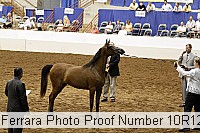 10r12_4404 proof