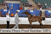 10r12_4407 proof