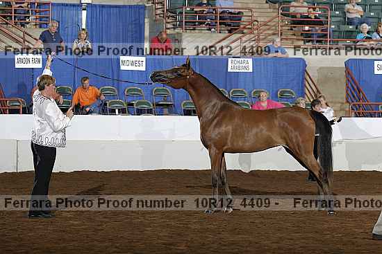 Proof 10r12_4409