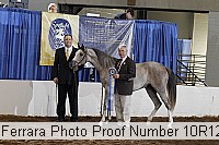 10r12_4413 proof