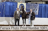 10r12_4417 proof