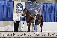 10r12_4424 proof