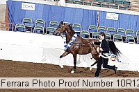 10r12_4438 proof