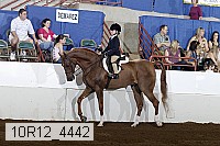 10r12_4442 proof