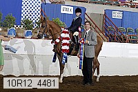 10r12_4481 proof