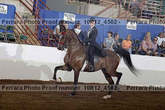 Proof 10r12_4502