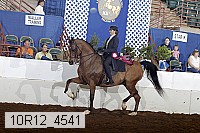 10r12_4541 proof