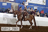 10r12_7801 proof