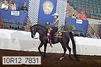 10r12_7831 proof