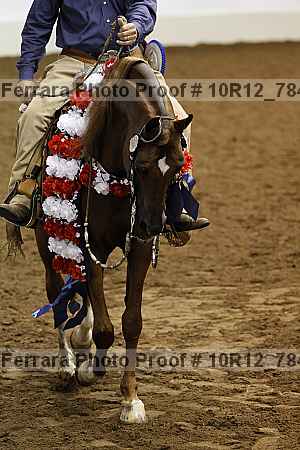 Proof 10r12_7849