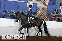 10r12_4641 proof
