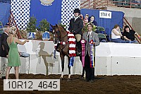 10r12_4645 proof