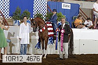 10r12_4676 proof