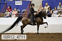 10r12_4711 proof