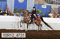 10r12_4731 proof