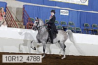 10r12_4788 proof