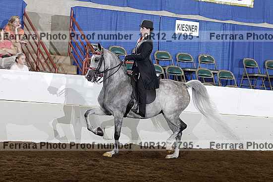 Proof 10r12_4795
