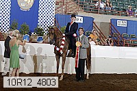 10r12_4803 proof