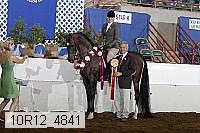 10r12_4841 proof