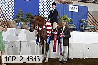 10r12_4846 proof